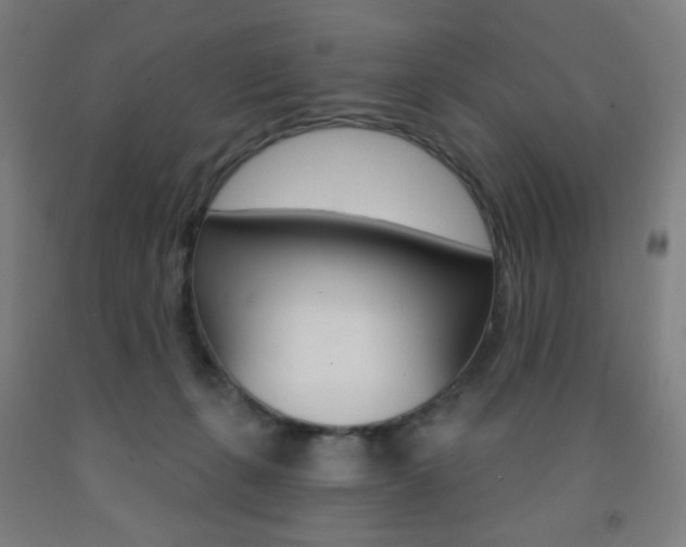 X0000093260271200709261624