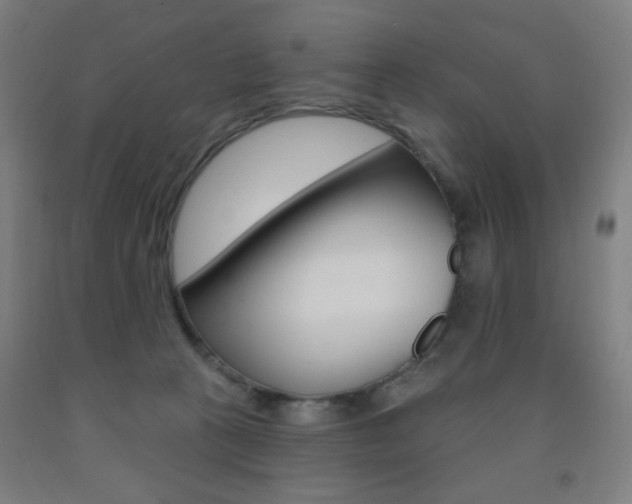 X0000093260273200709261624