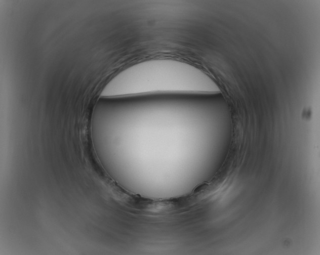 X0000093260274200709261624
