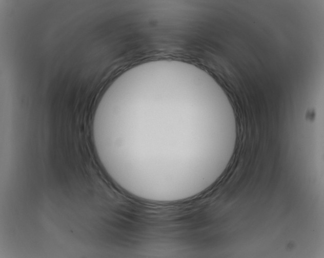 X0000093260276200709261624