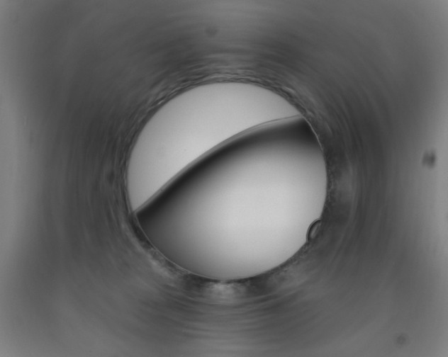X0000093260277200709261624