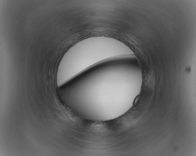 X0000093260283200709261624