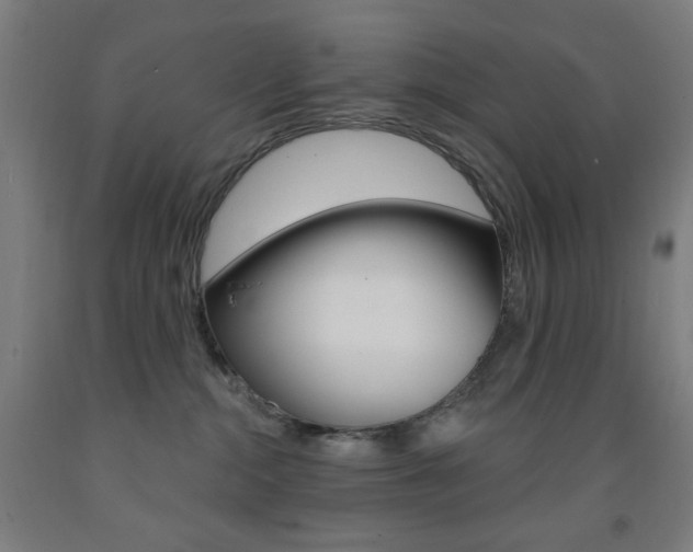 X0000093260284200709261624