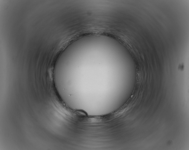 X0000093260286200709261624