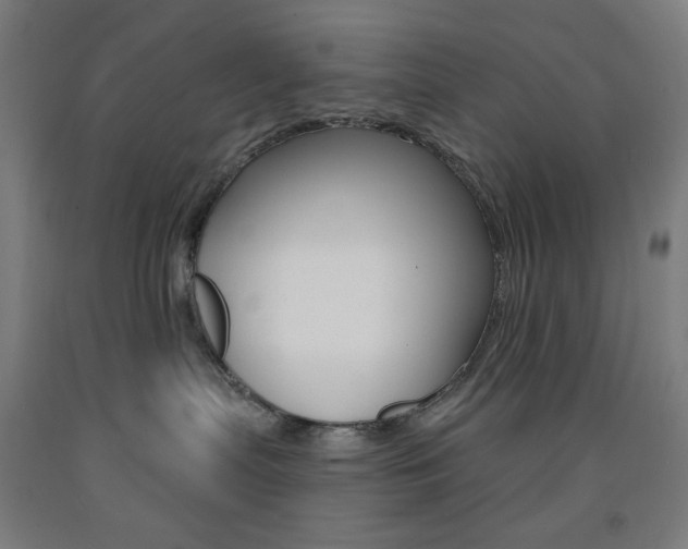X0000093260287200709261624