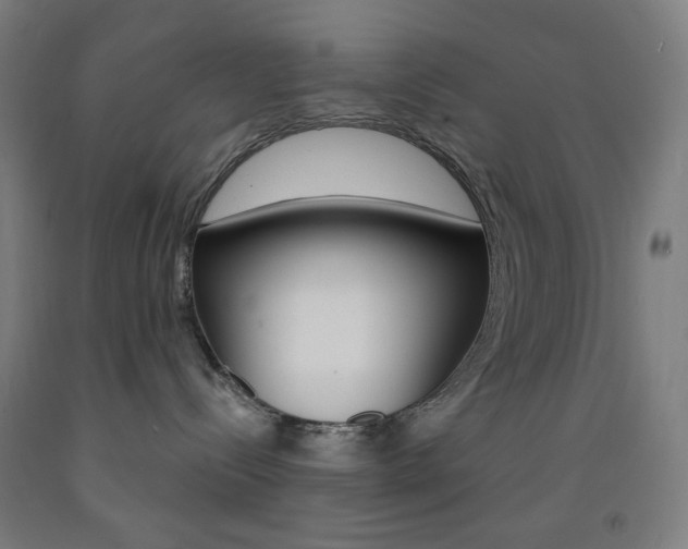 X0000093260288200709261624