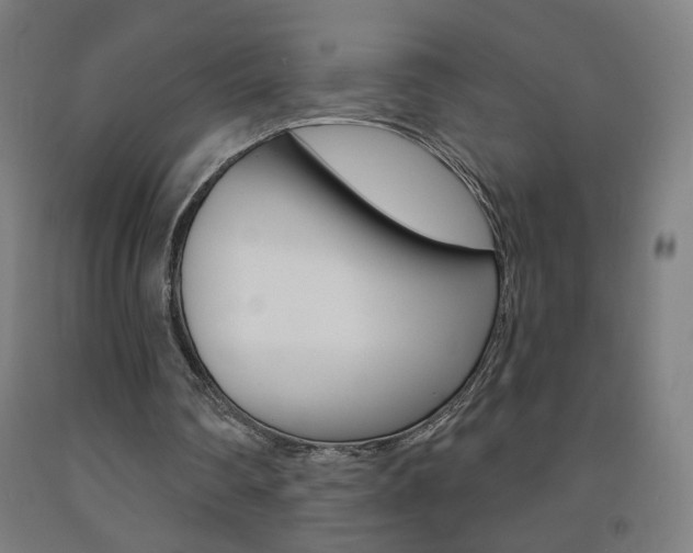 X0000093260290200709261624