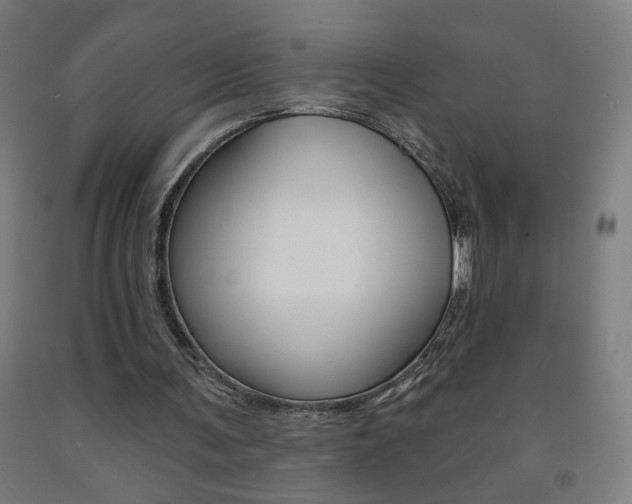 X0000093260291200709261624