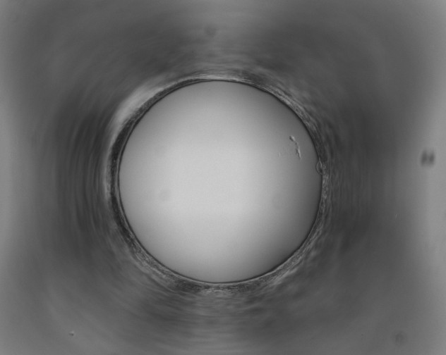 X0000093260294200709261624