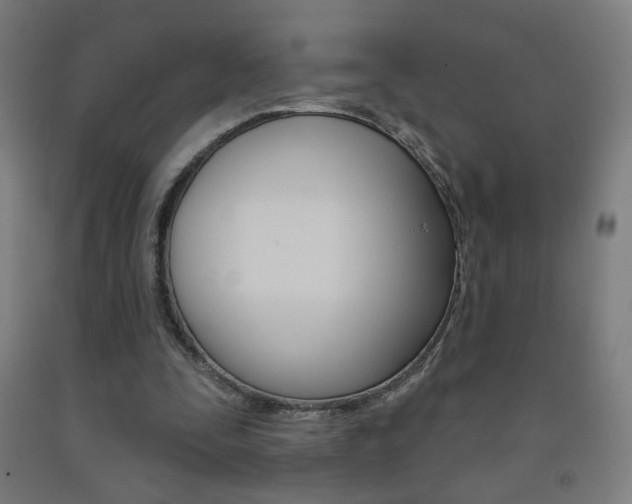 X0000093260295200709261624