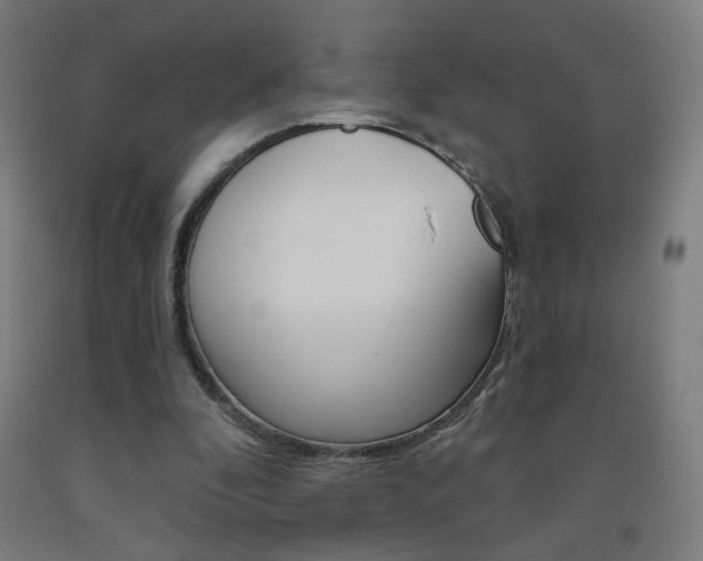 X0000093260296200709261624