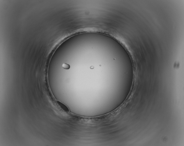 X0000093260297200709261624