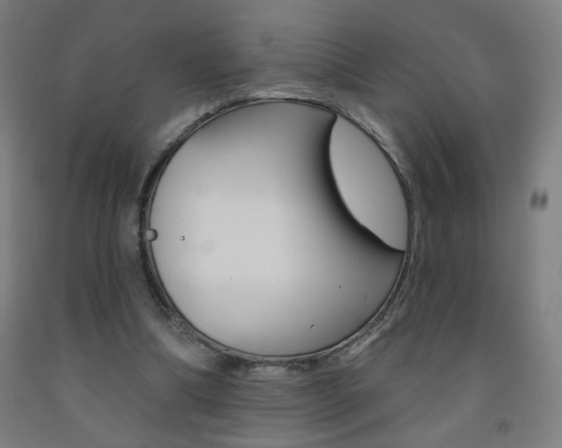 X0000093260298200709261624
