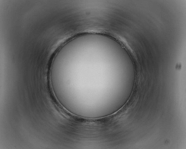 X0000093260299200709261624