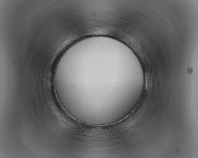 X0000093260300200709261624