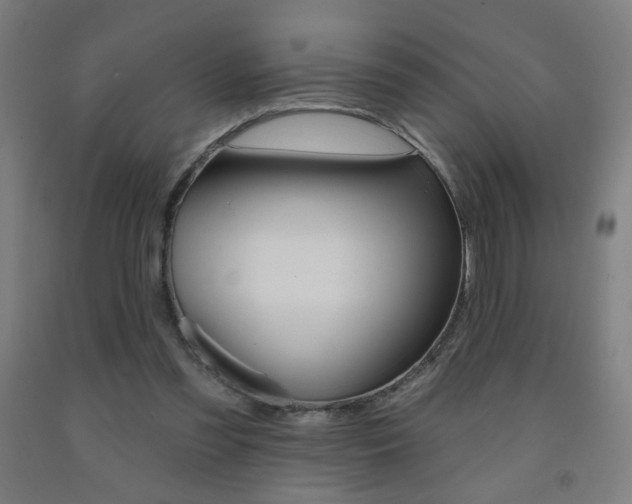 X0000093260301200709261624