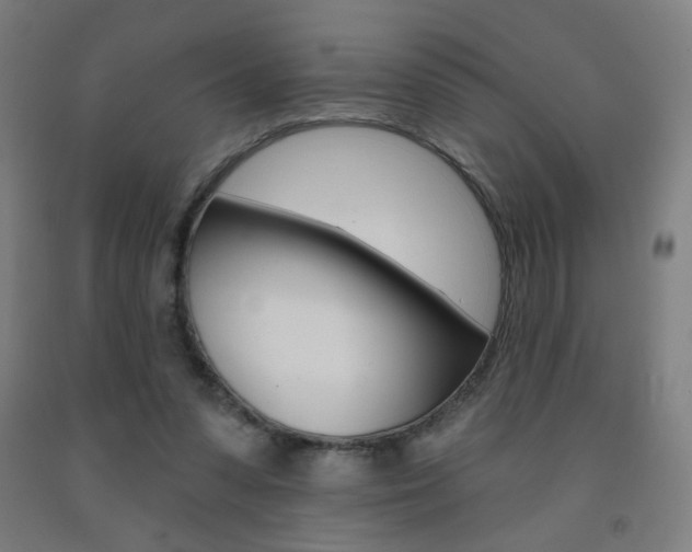 X0000093260303200709261624