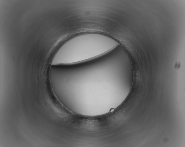 X0000093260304200709261624