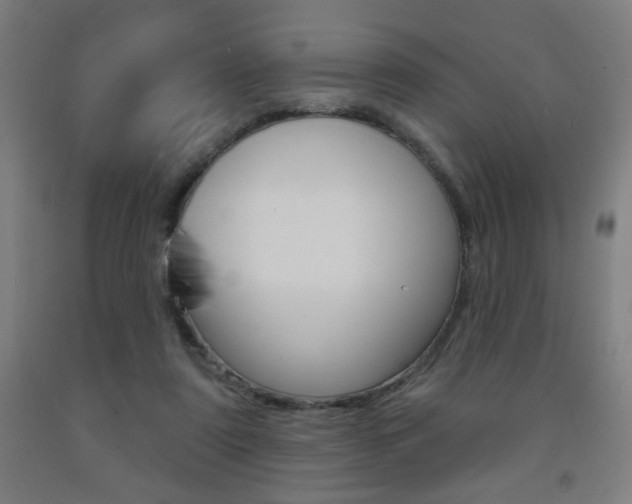 X0000093260307200709261624