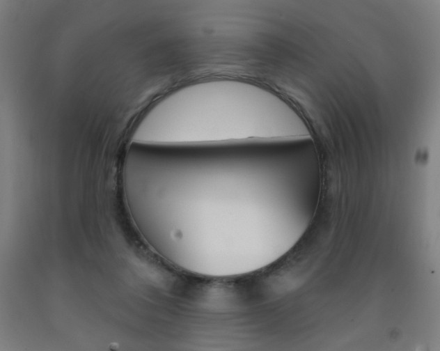 X0000093260308200709261623