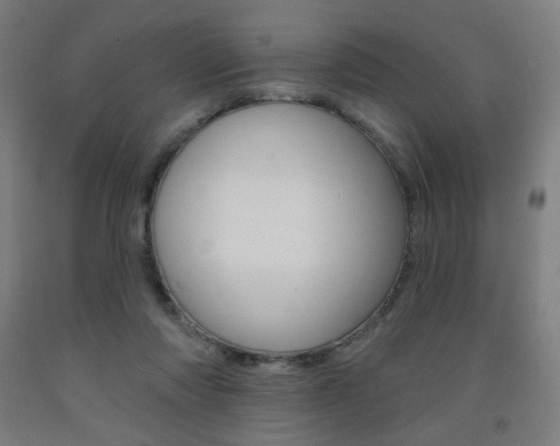 X0000093260310200709261623