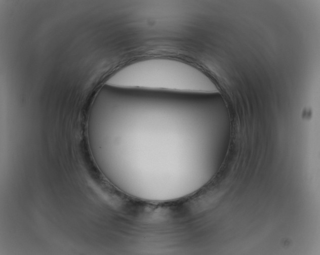 X0000093260311200709261623