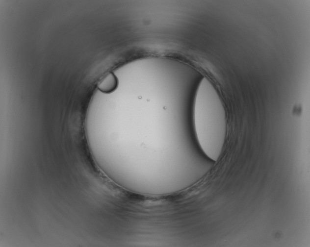 X0000093260314200709261623