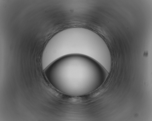 X0000093260317200709261623