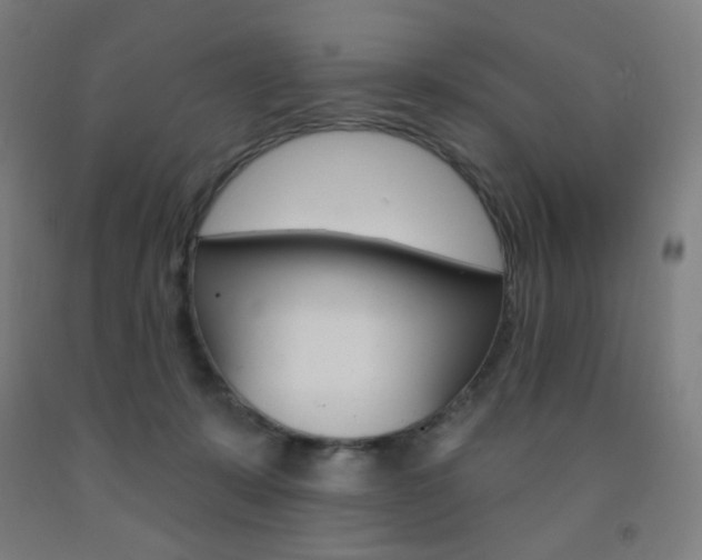 X0000093260319200709261623