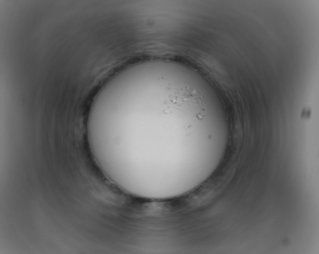 X0000093260320200709261623