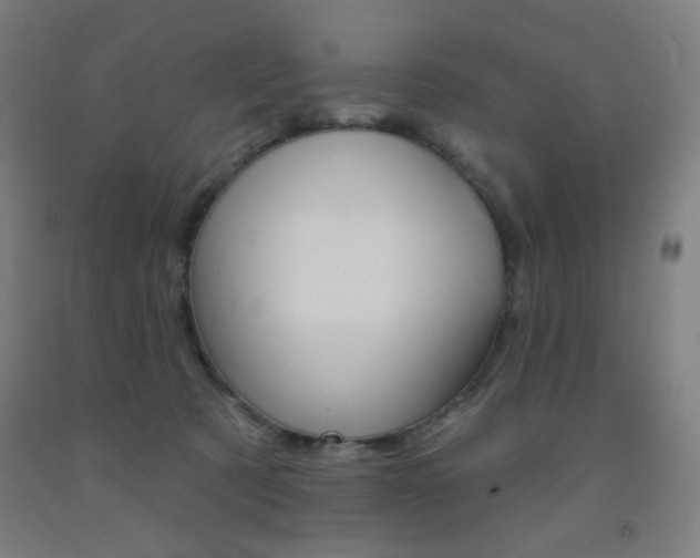 X0000093260321200709261623