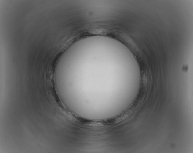 X0000093260322200709261623