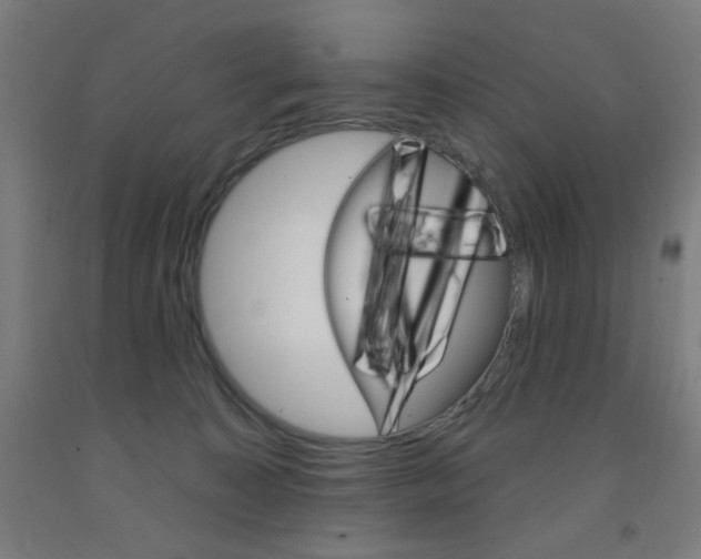 X0000093260323200709261623