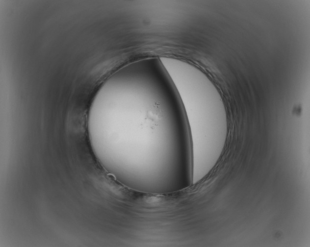 X0000093260325200709261623