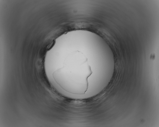 X0000093260327200709261623
