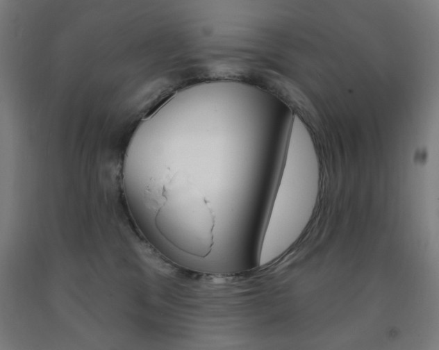 X0000093260329200709261623