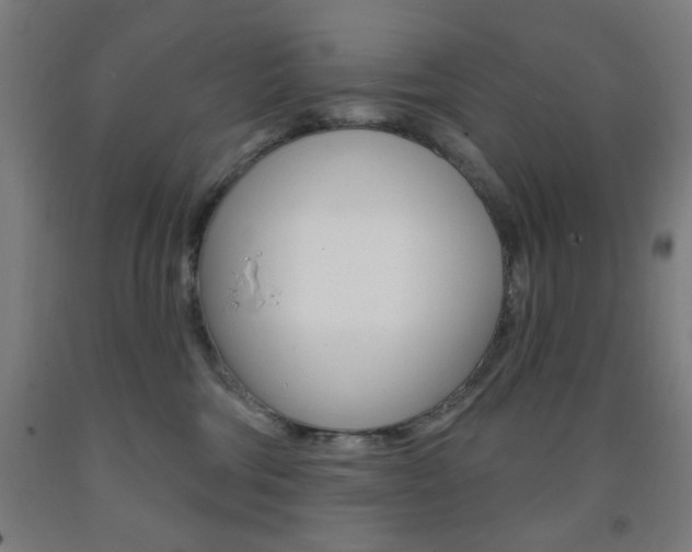X0000093260330200709261623