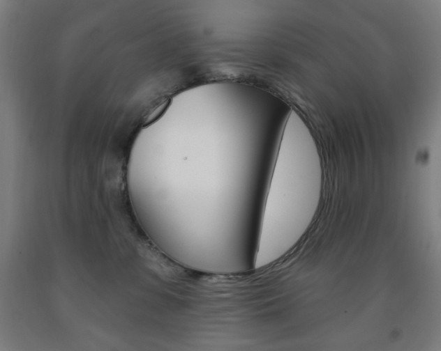 X0000093260331200709261623