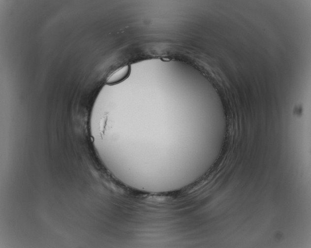 X0000093260332200709261623