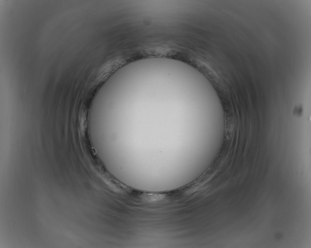 X0000093260334200709261623