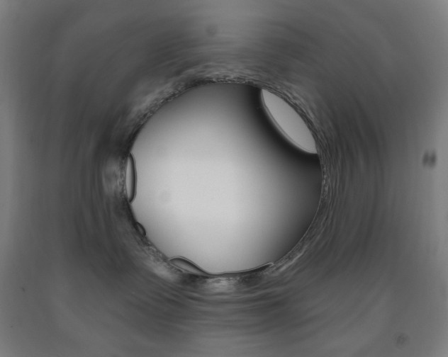 X0000093260335200709261623