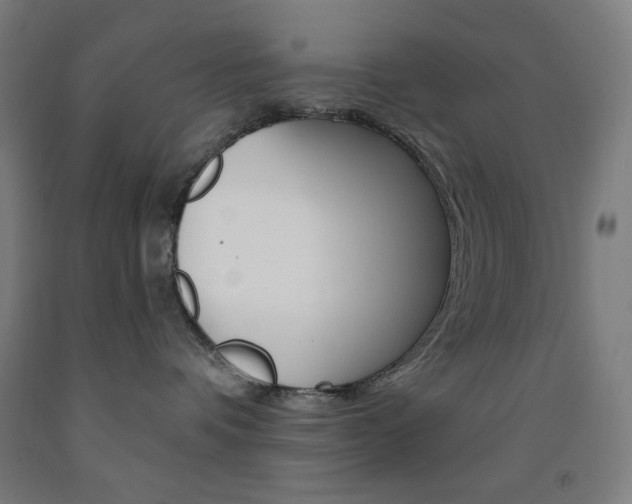 X0000093260336200709261623