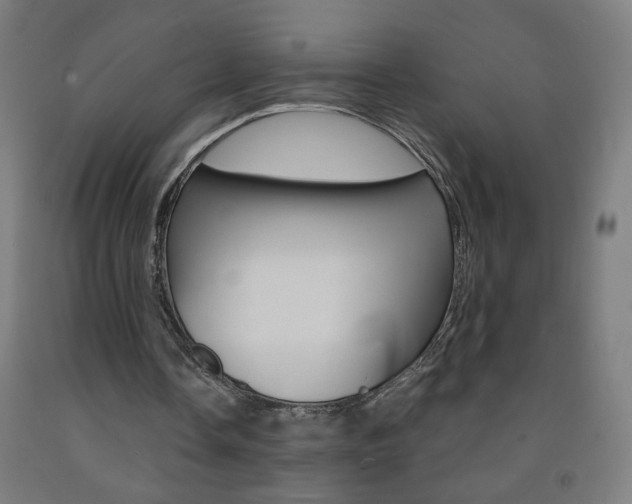 X0000093260338200709261622