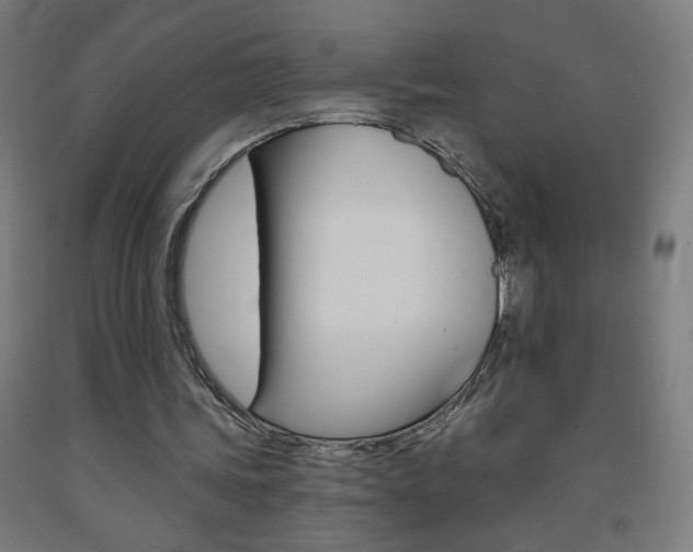 X0000093260339200709261622