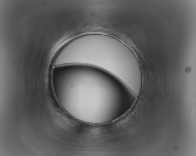 X0000093260344200709261622
