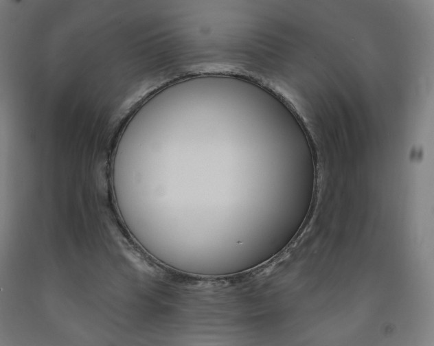X0000093260345200709261622