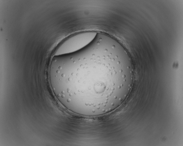 X0000093260347200709261622