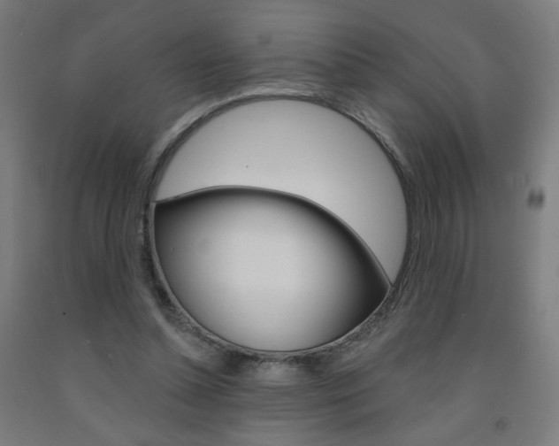 X0000093260348200709261623
