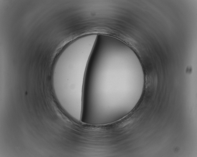 X0000093260349200709261623