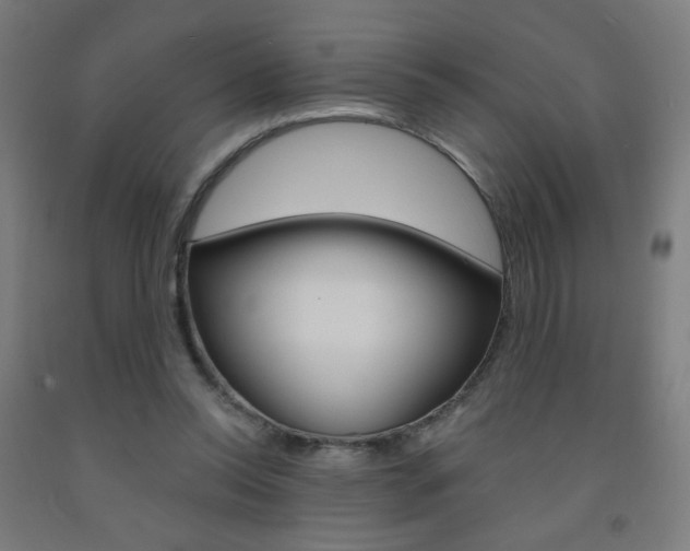 X0000093260350200709261623